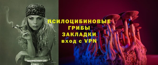 мдпв Володарск
