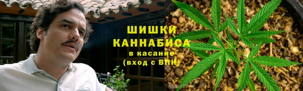 мдпв Володарск