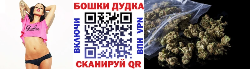 Купить закладки  Михайловск  Конопля SATIVA & INDICA 